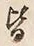 Chữ 皆