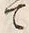 「谷」字