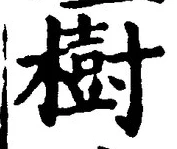 「樹」字