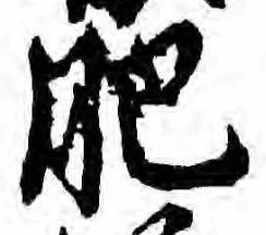 㐌定位肥