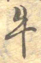 位置定マレル牛