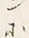 Character 趣