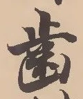 已定位歯