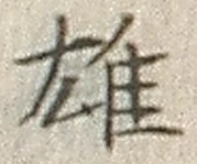 Character 雄