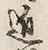 𡨸近