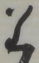 已定位札
