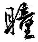 已定位瞳