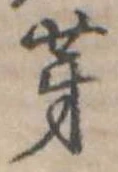 位置 確認된 芽