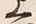 𡨸又