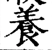 「養」字