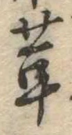 位置定マレル茸