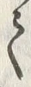 文字 祀