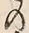 Character 金