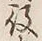 Character 詞