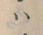 Located 𛂞