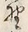 文字 野