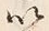 “以”字