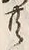 𡨸共