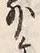 文字ヶ