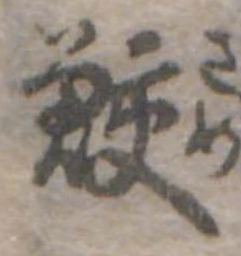 位置 確認된 鮫