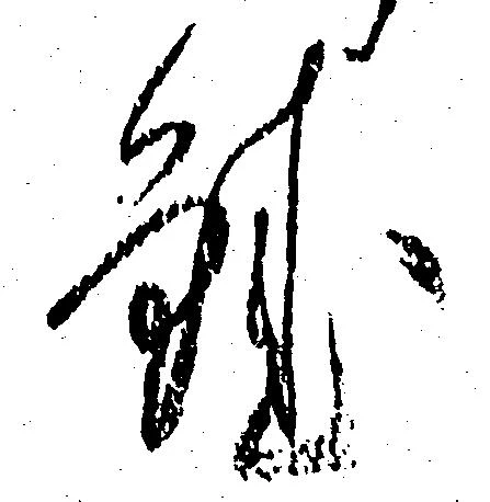 已定位鮭
