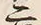 字二
