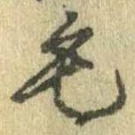 位置定マレル毛
