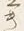 文字術