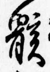 位置定マレル骸