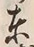字東