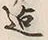 Character 迄