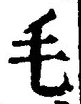 字毛
