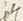 字ノ