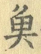 已定位魚