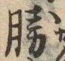 已定位勝