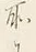 字所