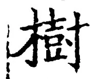 「樹」字