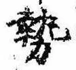 已定位勢