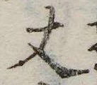 丈 위치 확인됨