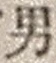 “男”字