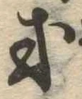 Đã định vị 或