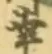“幸”字