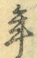 位置 確認된 年