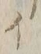 文字ロ