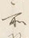 文字何
