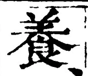 「養」字