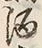 Character 麹