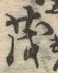 已定位茂