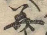 位置 確認된 美