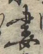 Đã định vị 妻